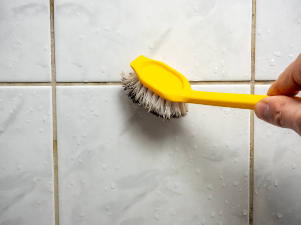 Best Mold Removal Company Near Me  in Mount Zion, GA