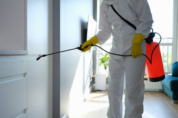 Best Mold Testing  in Mount Zion, GA