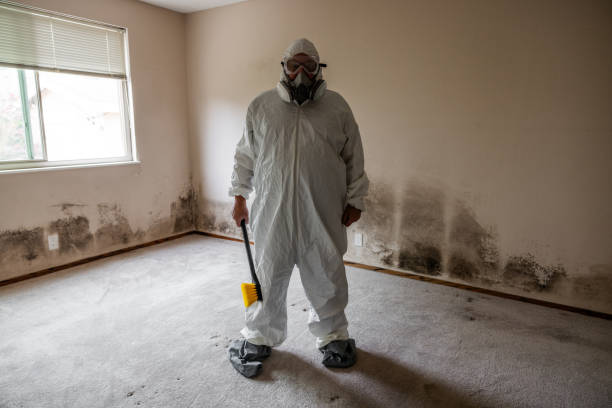 Best Professional Mold Removal  in Mount Zion, GA